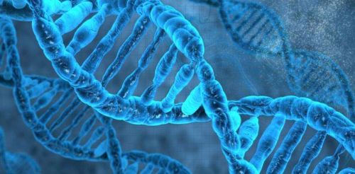Zbulohet një virus prehistorik në genomin njerëzor, i aftë për t’u riprodhuar