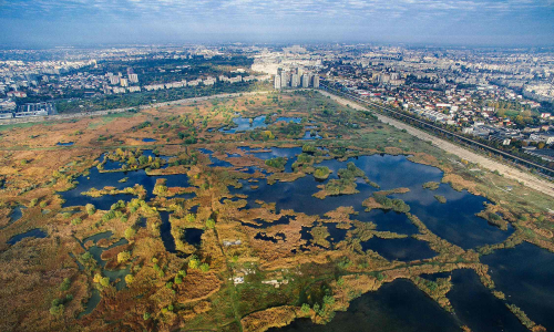 Văcărești, një nga parqet natyrore urbane më të mëdha në Europë