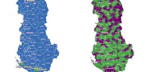 Kur kanabisi trullos statistikat