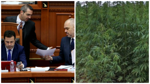"Policët dhe farat", telenovela e re e qeverisë