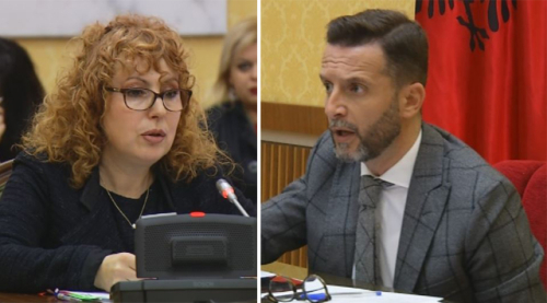 LSI mban pezull shkarkimin e drejtoreshës së AMF-së