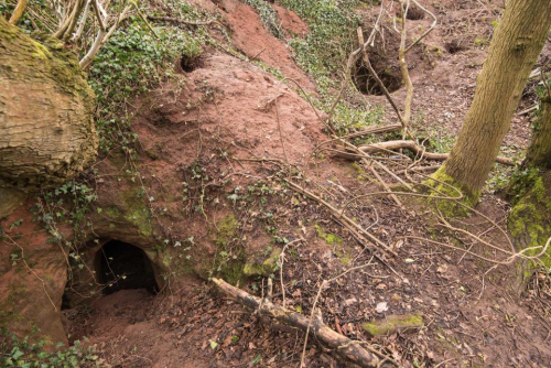 Dukej për fole lepuri, por rezultoi rrjet shpellash përdorur nga Templarët