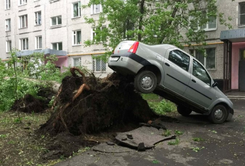 Videolajm/12 të vdekur nga stuhitë e erës në Moskë
