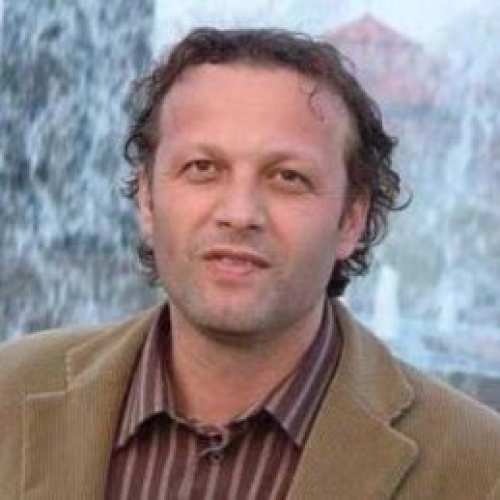 Mediat dhe fushata parazgjedhore