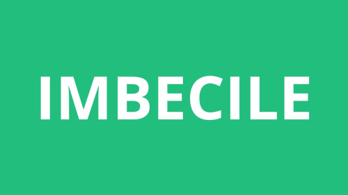 Shënime për një "Traktat mbi budallallëkun"