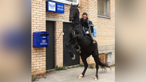 Postë me kalë në Rusinë e vitit 2017