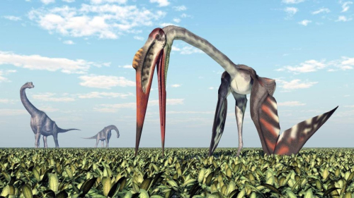 Ilustrim/Quetzalcoatlus, pterosauri me 12 m krahë