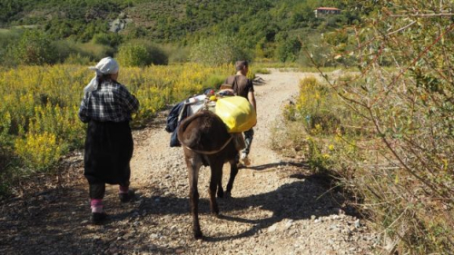 BBC-ja i afrohet rrezikshëm "anëtarësimit" në Kazanin Mediatik