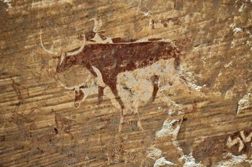 Kultivim bujqësor 10 mijë vjet më parë në Takarkori të Libisë