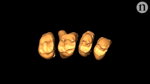 Në Filipine zbulohet homo luzonensis, specie e panjohur hominini