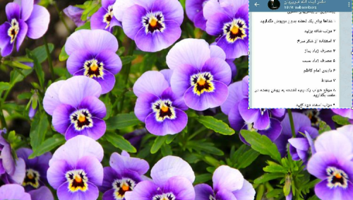 Recetat jokonvencionale të një kleriku iranian kundër CoVid 19