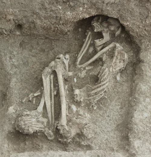 Arkeologët turq pretendojnë se kanë zbuluar skeletin e Fermerit të Parë të Anatolisë Perëndimore