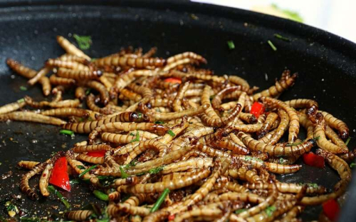 Insektet, ligjërisht në tryezat e europianëve