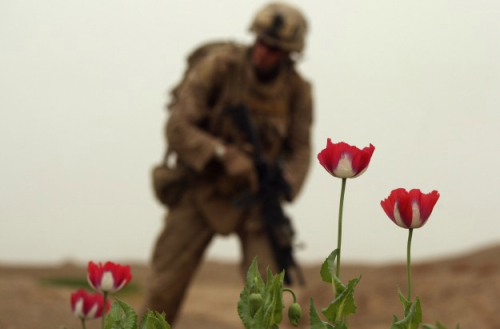 Si lulëzoi biznesi i opiumit gjatë pushtimit amerikan në Afganistan