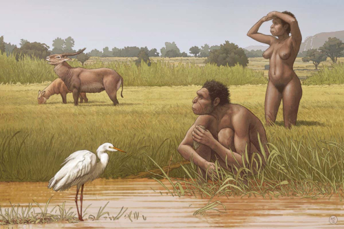 Emërtohet hominini i ri: Homo Bodoensis