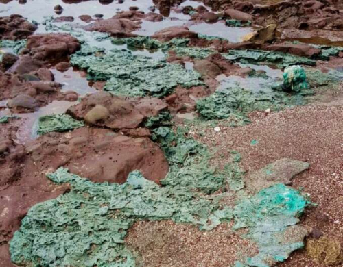 Plastika krijon shkëmbinjtë e vet “natyrorë”