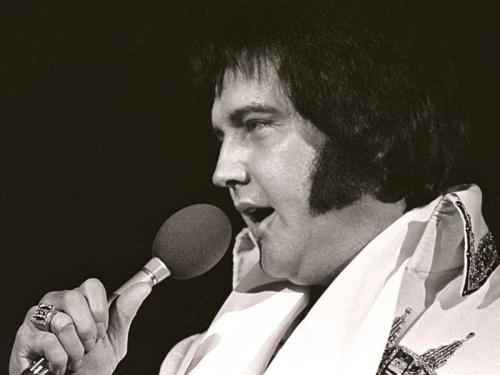 Jeta personale përmes artit: Elvisi, Bethoven, Artur Miller dhe Kafka