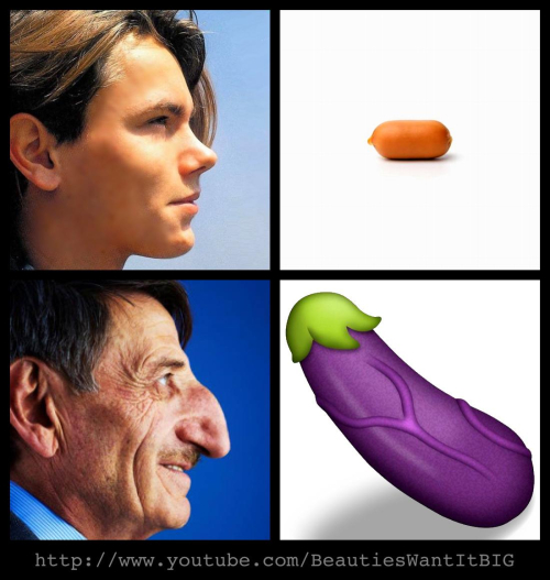 Hundë e madhe, penis i madh