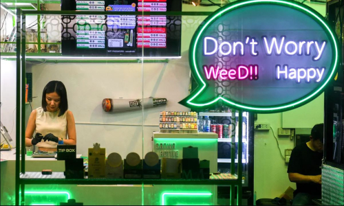Tajlanda pendohet për marijuanën, legalizimi drejt anulimit