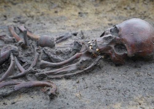 Zbulohet një varrezë vikinge e vitit 900