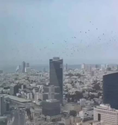 Video/Korbat pushtojnë qiellin e TelAvivit
