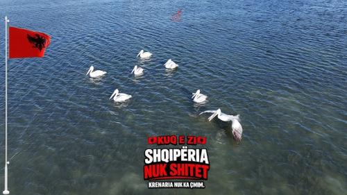Nuk shitet vendi për mirëqenie