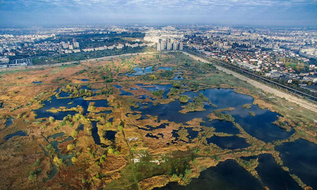 Văcărești, një nga parqet natyrore urbane më të mëdha në Europë