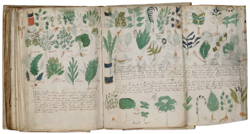 Publikohet dhe hidhet në qarkullim dorëshkrimi Voynich