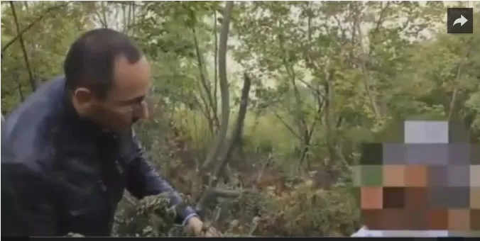 Ekipi i gazetarëve të RAI-t hyn në parcelat e Krujës. Dëshmia e kultivuesit: Në 100 euro, 40 i merr policia (Video)