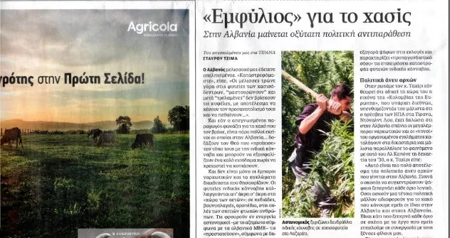 “Luftë civile” për hashashin