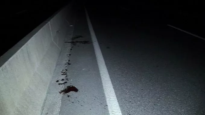 Kush përgjigjet për vrasjet e shtetit? (Video)