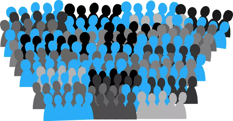 Anëtari i partisë, ose modeli i Facebook në politikë