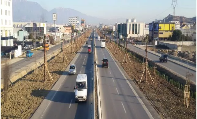 Për fundin e palmave të autostradës raporton edhe TVSh