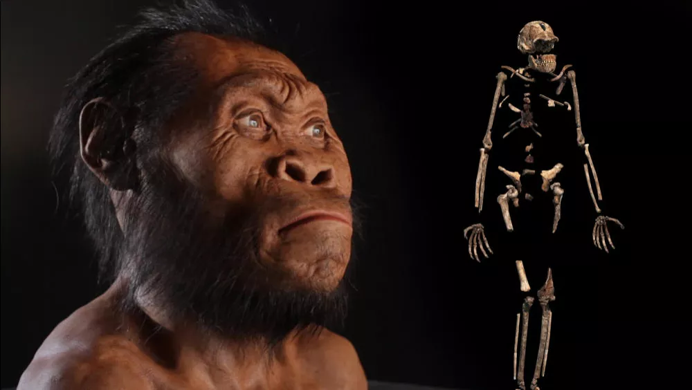 Homo Naledi ishte bashkëkohës me njeriun modern
