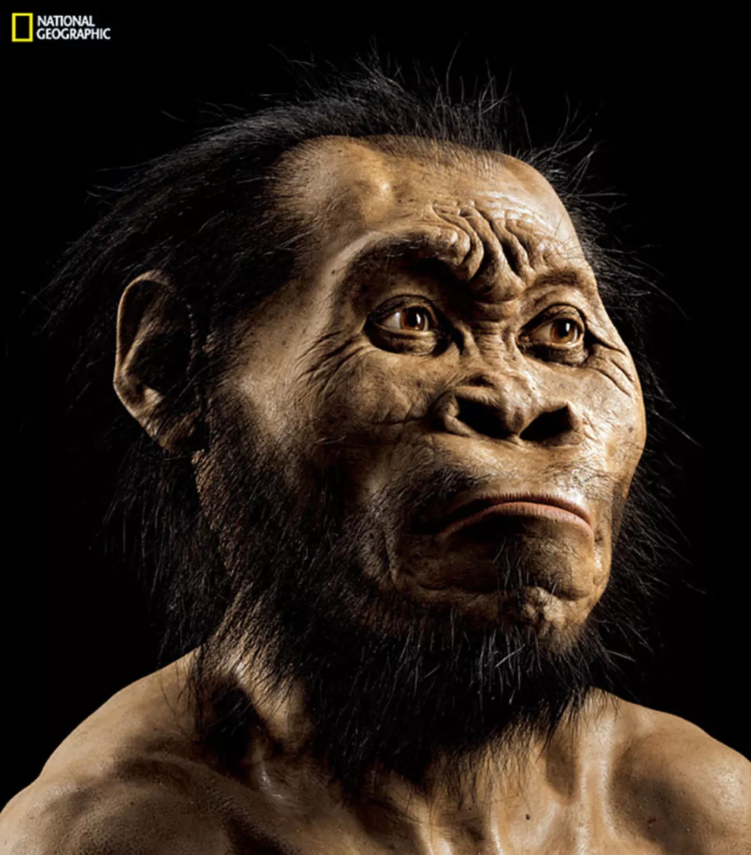 Zbulim i madh në Afrikën e Jugut – Homo Naledi(video+foto)