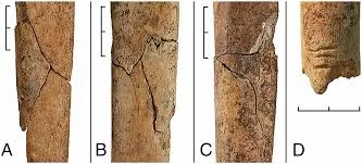 Dhuna kolektive dhe masakra kanë rrënjë që në prehistori