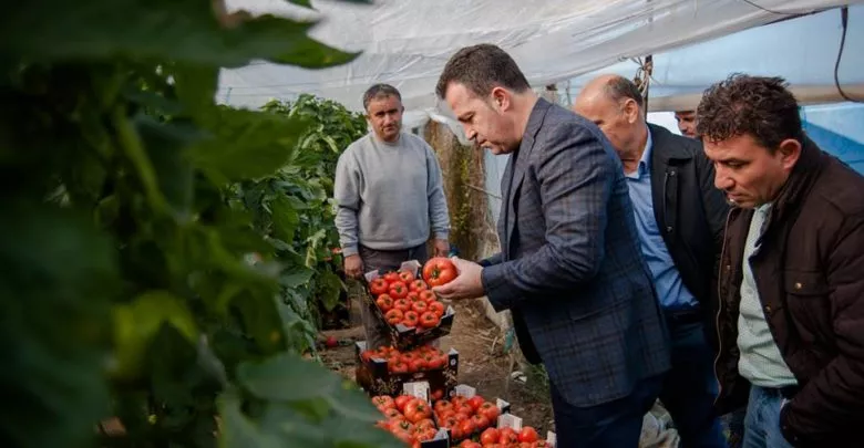 Bankat "sabotojnë" programin IPARD për bujqësinë