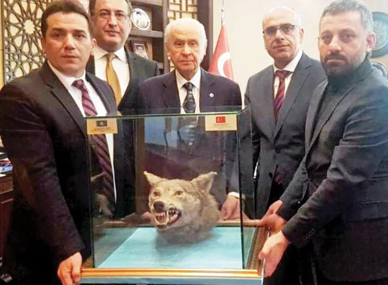 Fotolajm/Një dhuratë e veçantë për ditë lindjen e kreut të nacvionalistëve turq