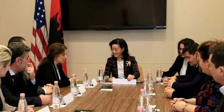 Nga kursi i plepave te liçenca e ambasadave