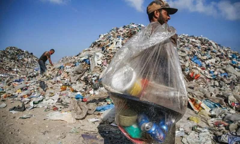 1.1 trilionë tonë/Pesha e asaj që ka prodhuar njeriu ia kalon biomasës