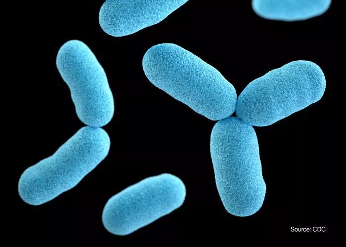 Rezistenca ndaj antibiotikëve mund ta bëjë difterinë sërish kërcënim global