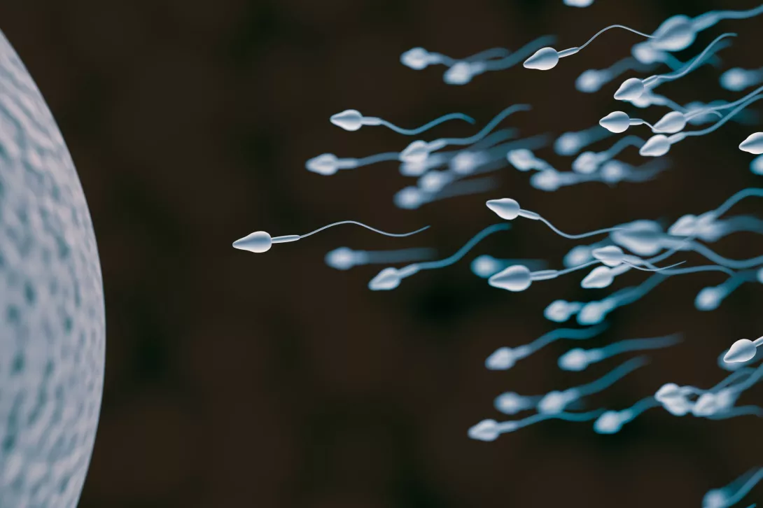 Covid-19 dëmton fertilitetin te meshkujt