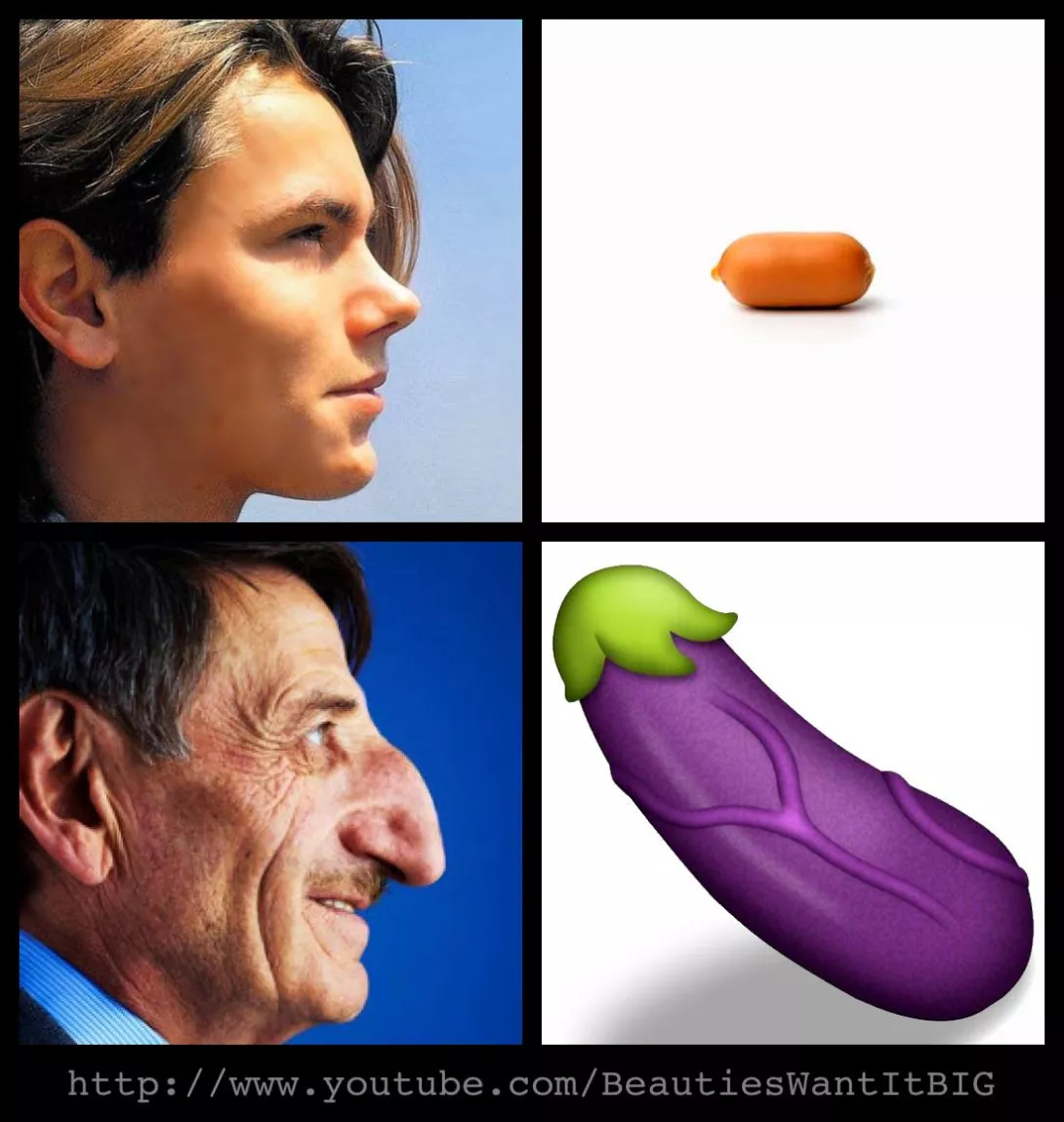 Hundë e madhe, penis i madh