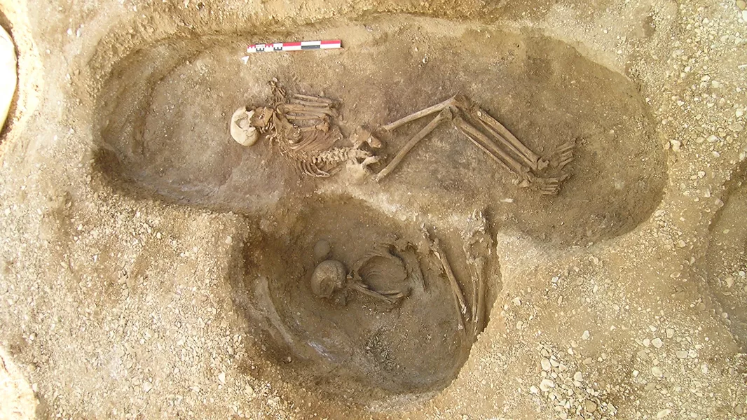 Neoliti europian, një vështrim përmes ADN-së