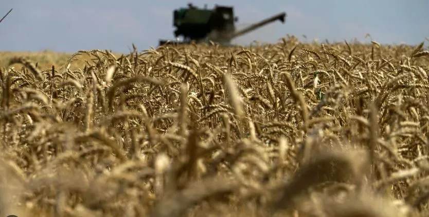 Fermerët gjermanë: Anëtarësimi i Ukrainës do të shkatërrojë sistemin bujqësor të BE-së