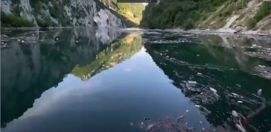 Video/Regjim i lirë lundrimi për plehrat në Koman