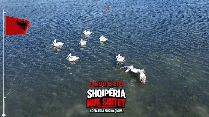 Nuk shitet vendi për mirëqenie